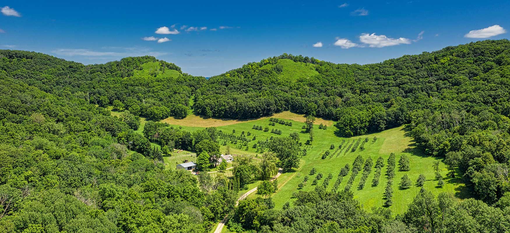 Green Landscape